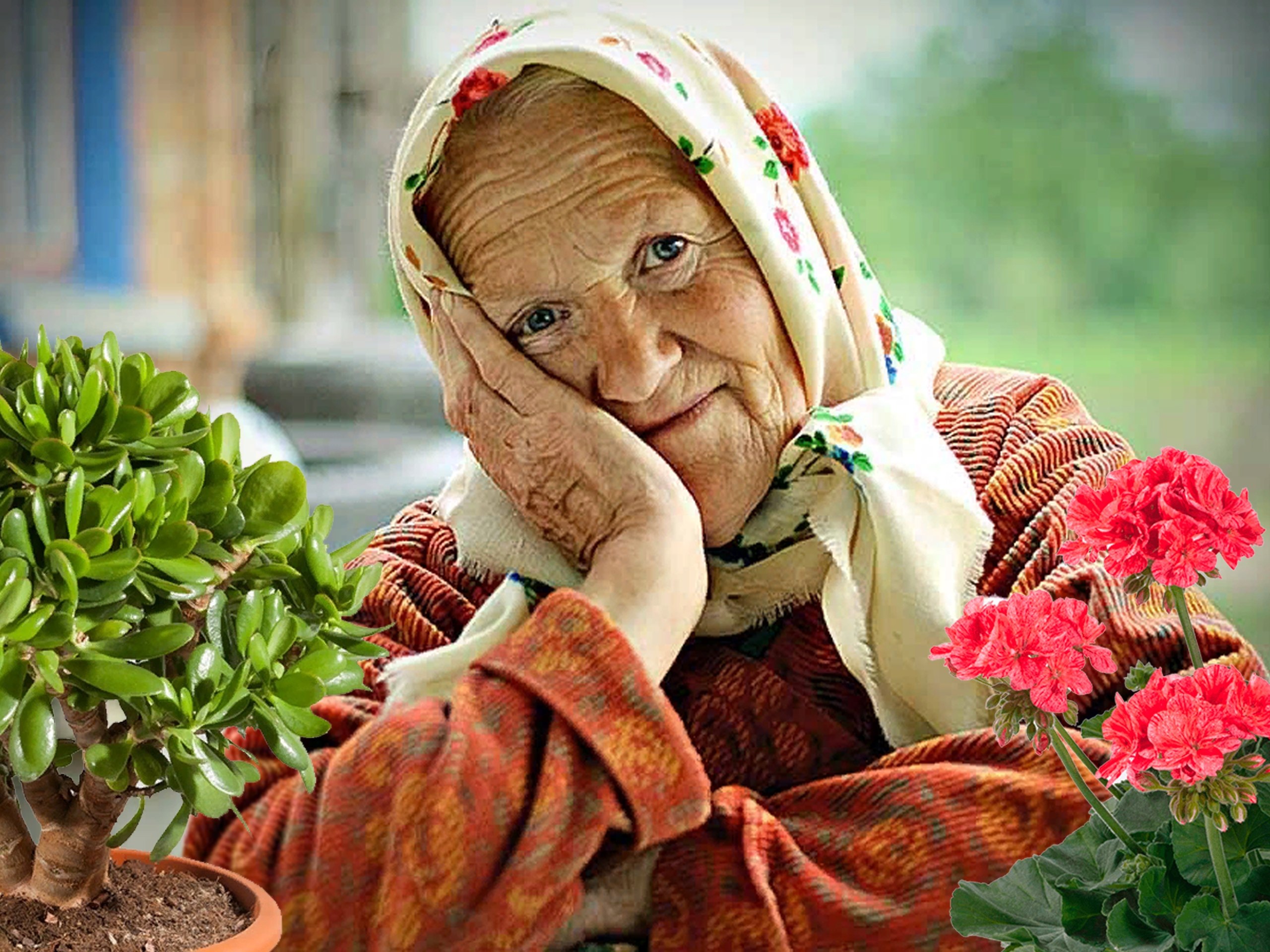 Сельские женщины. Бабушка в платке. Бабушка в зеленом.