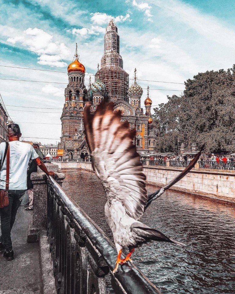 Питер читает. Спас на крови заведения. Ресторан у Спаса на крови. Спас на крови реконструкция. Мой Питер.