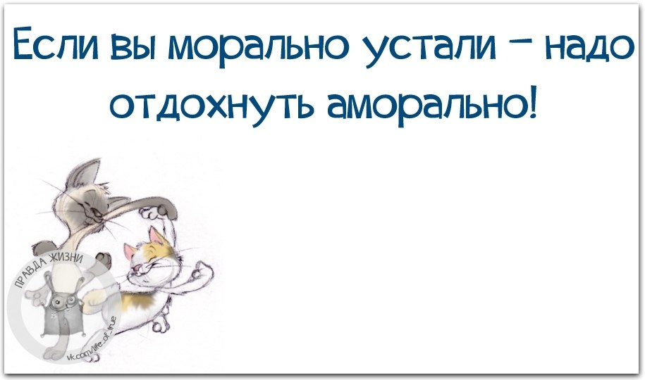 Если вы морально устали надо аморально отдохнуть картинки