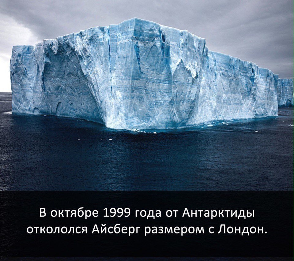 Крупнейший айсберг. Самый большой Айсберг. Самый большой Айсберг в Антарктиде. Размеры айсбергов. Строение айсберга.