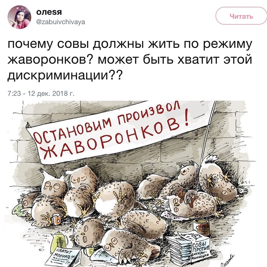 Гибрид совы и жаворонка