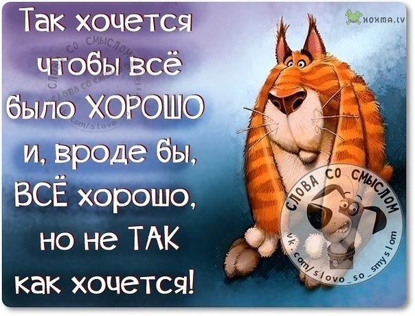 Слова со смыслом в картинках позитивные и веселые о жизни