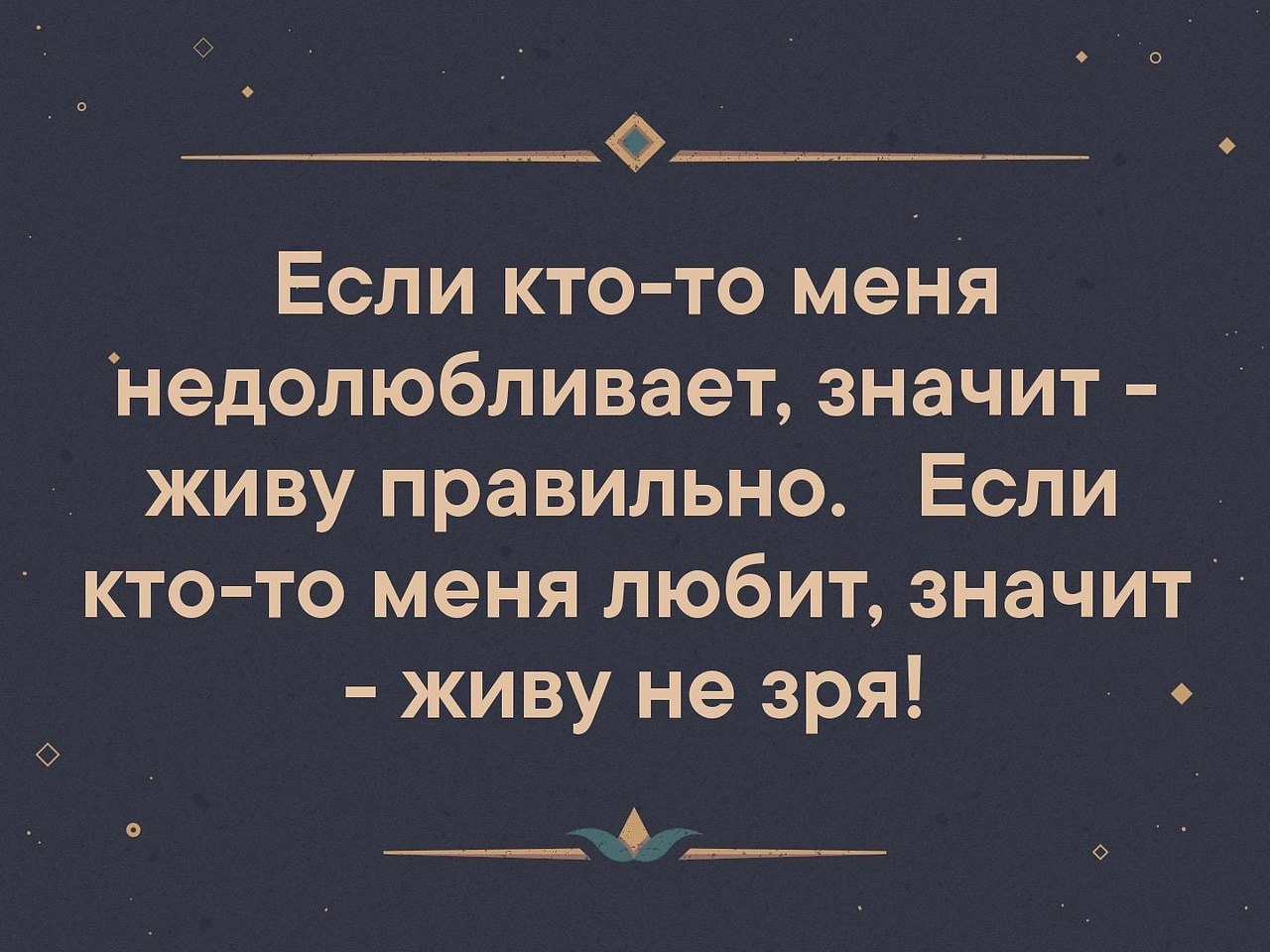 Если так понесут значит жил не зря картинка