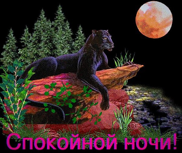 Анимация, открытки с пантерой удачи