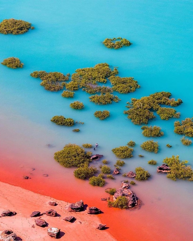 Брум австралия фото