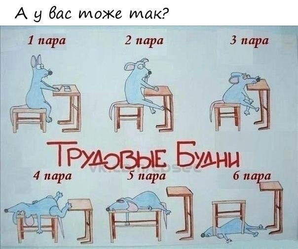 Мемы по картинкам по урокам