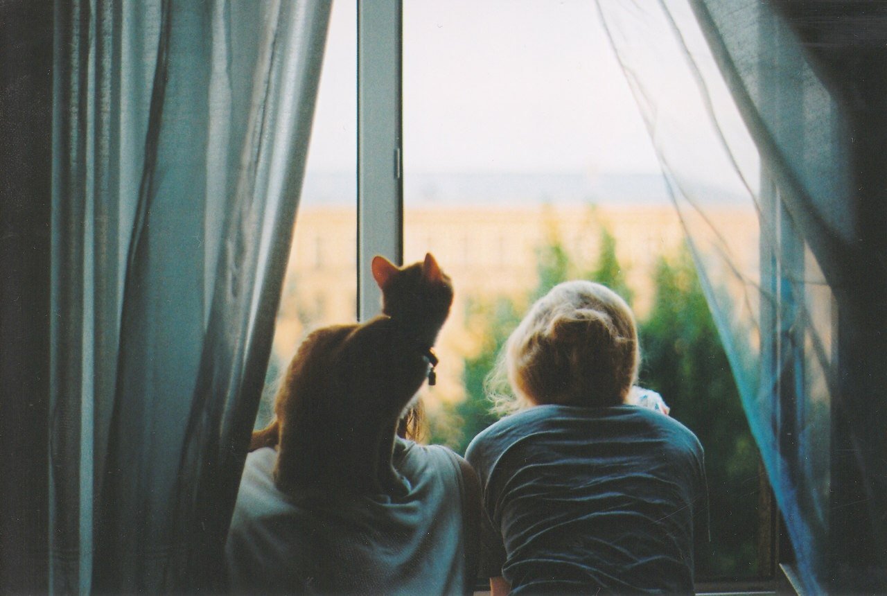 Всю жизнь глядят в окно. Девушка с котом у окна. Человек у окна. Кошка на окне. Девушка с котом на подоконнике.