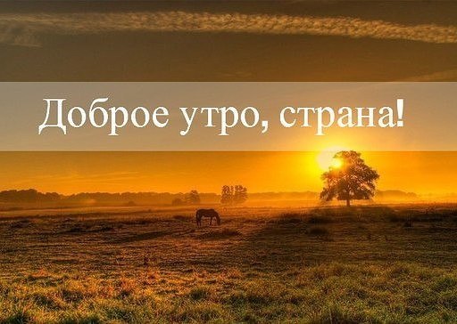 Доброе утро россияне картинки