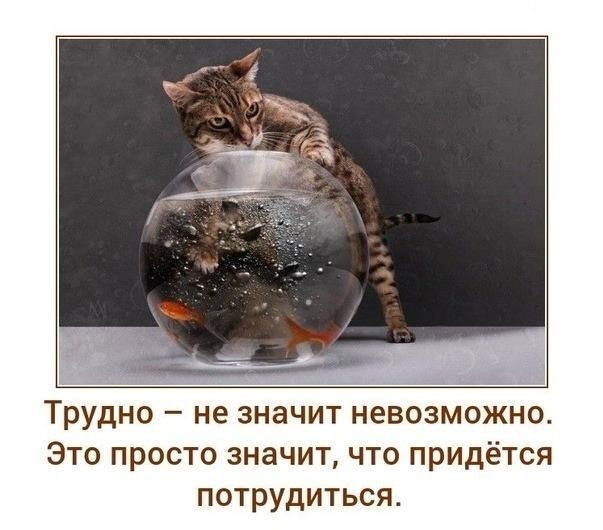 Тяжело Быть Фото