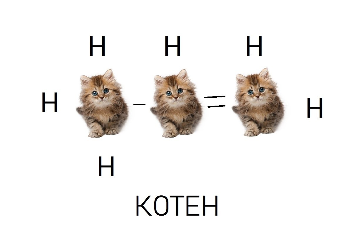Кот химик рисунок