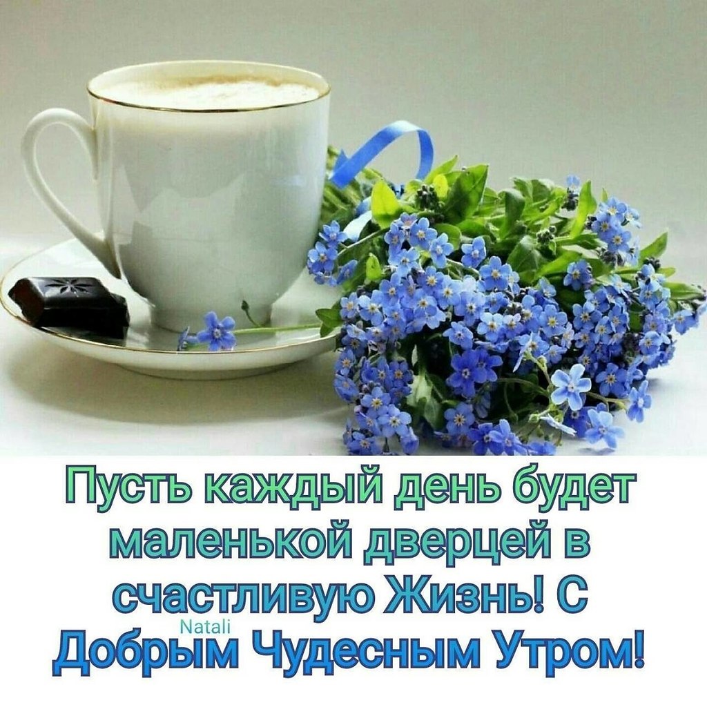 Побажання гарного дня