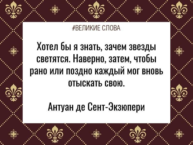 Цитаты из 8 слов.