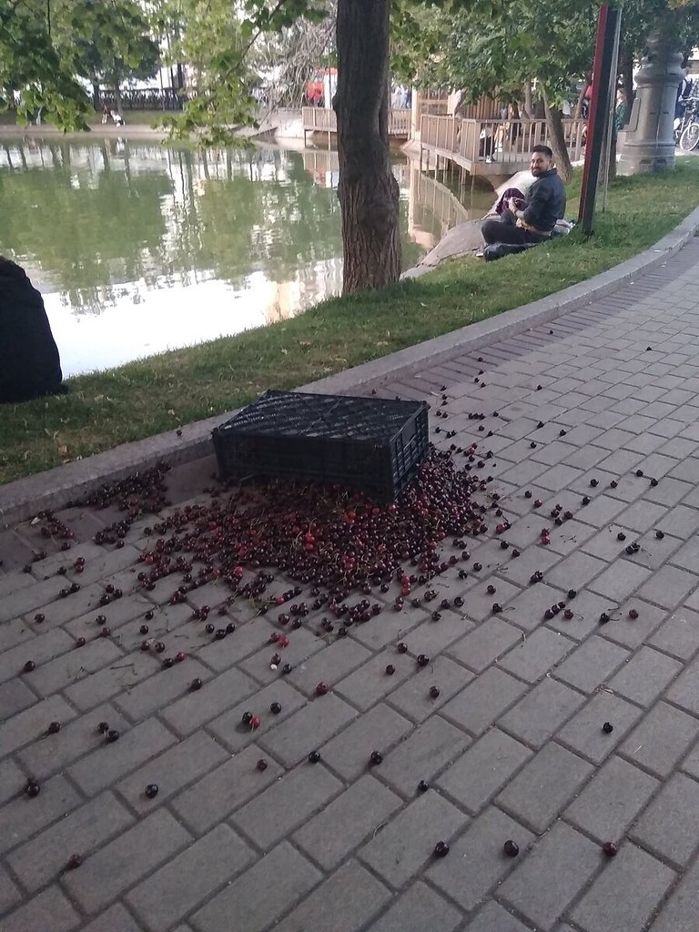 Самое грустное место на земле рабочее картинки какое