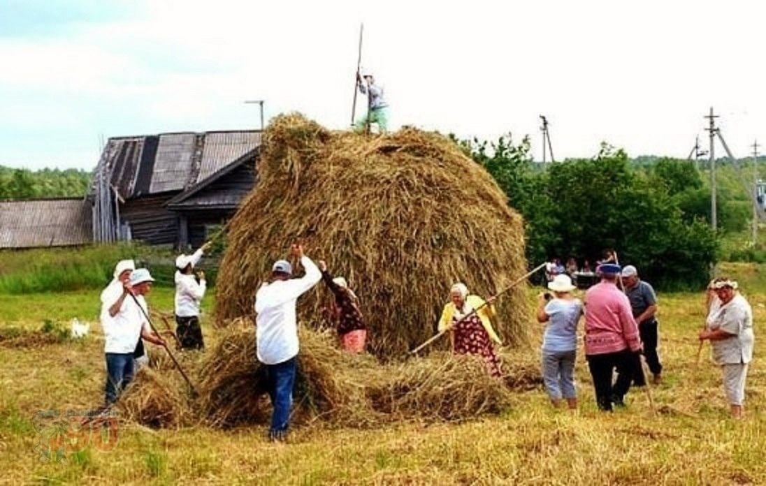 Труд в деревне картинки