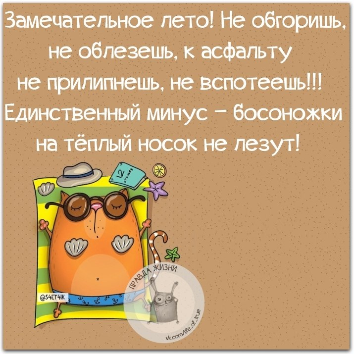 Шутки лета. Анекдоты про лето. Смешные фразы про лето. Анекдоты про лето в картинках. Прикольные фразы про лето.