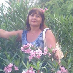 , 58 , 