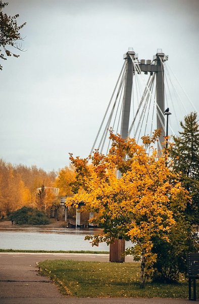 Осенний Красноярск Фото