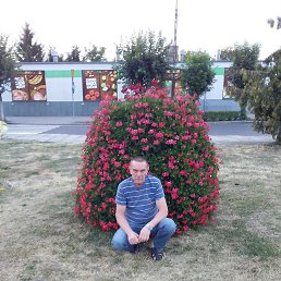 , 60 , 