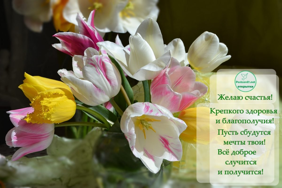 Здоровья и удачи открытка