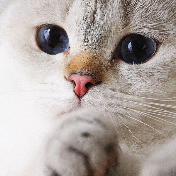 костиМаришка 99ур Рак, Россия, Москва Знакомства ID 38786040 – Фотострана
