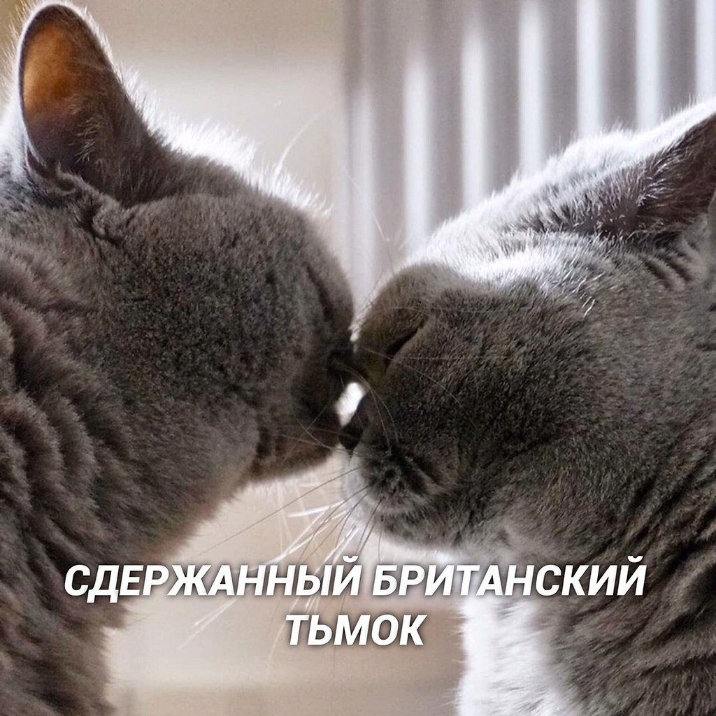 Картинки тьмок тебя