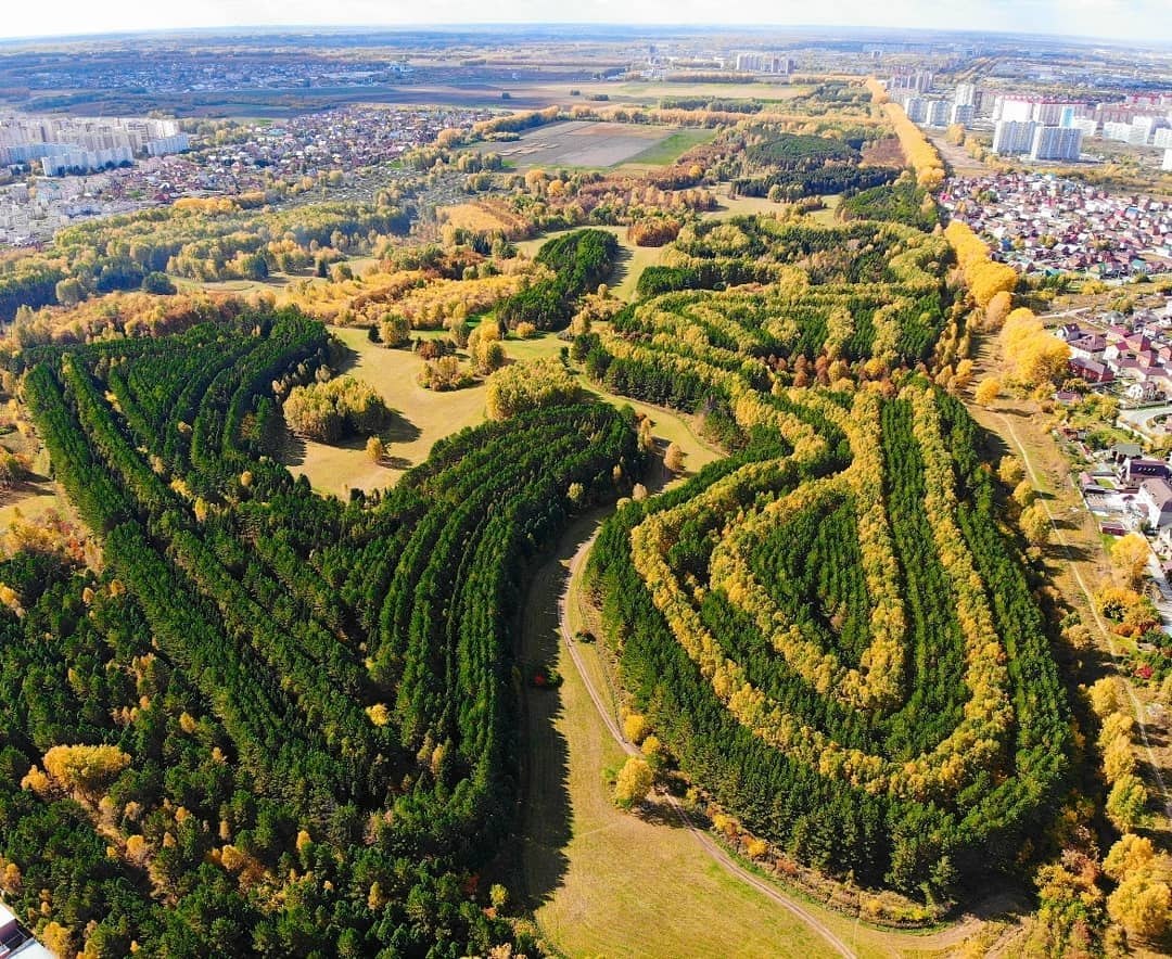 Краснообск новосибирск. Парк Синягина Краснообск. Дендропарк Синягина Новосибирск. Лесопарк Синягина Краснообск. Лесопарк имени Академика и. и. Синягина Краснообск.