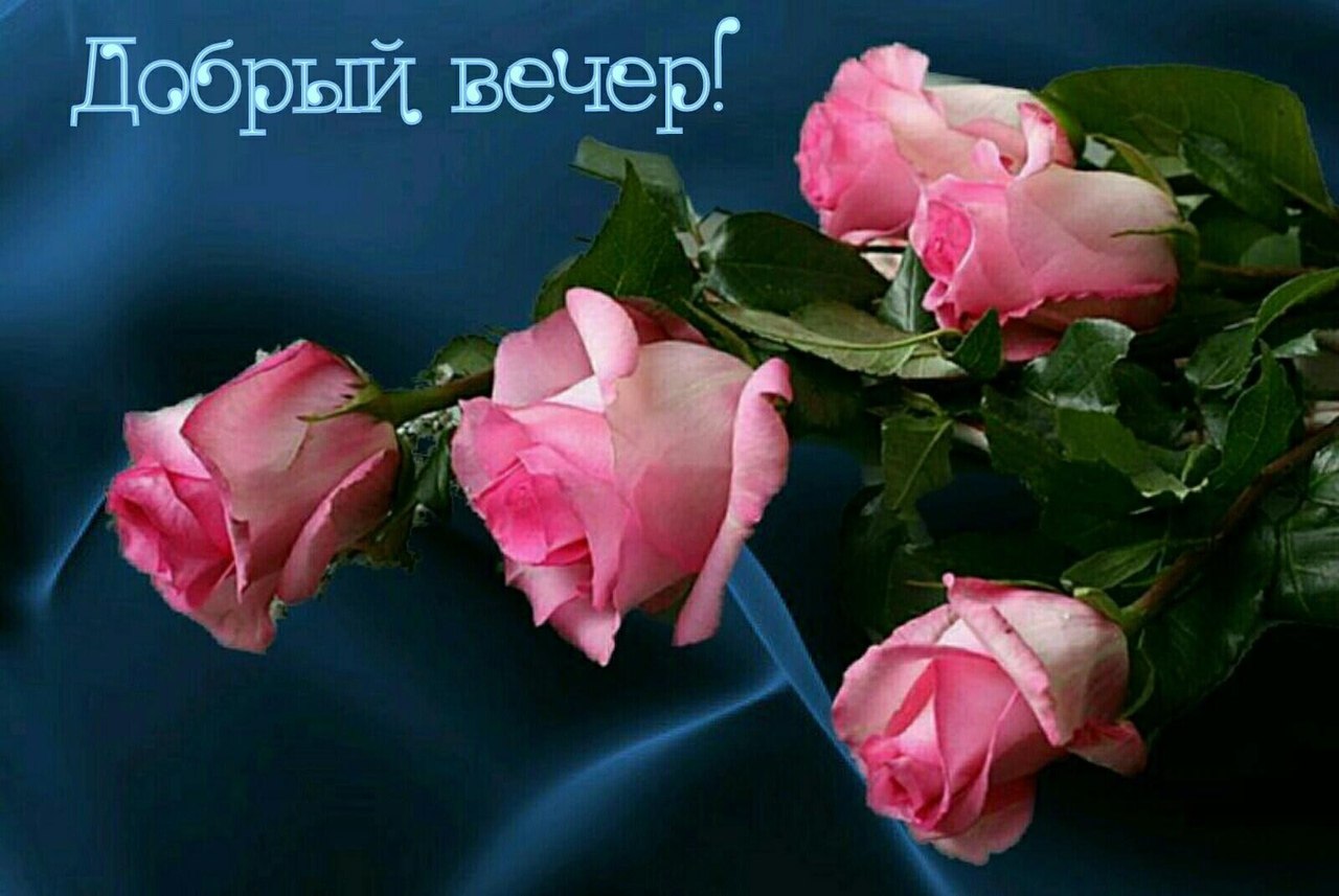 Наталья добрый вечер