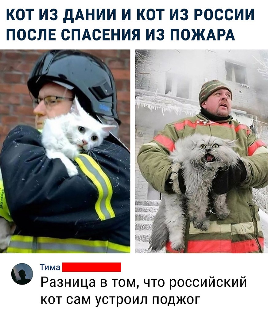 Пожарный и кот Россия