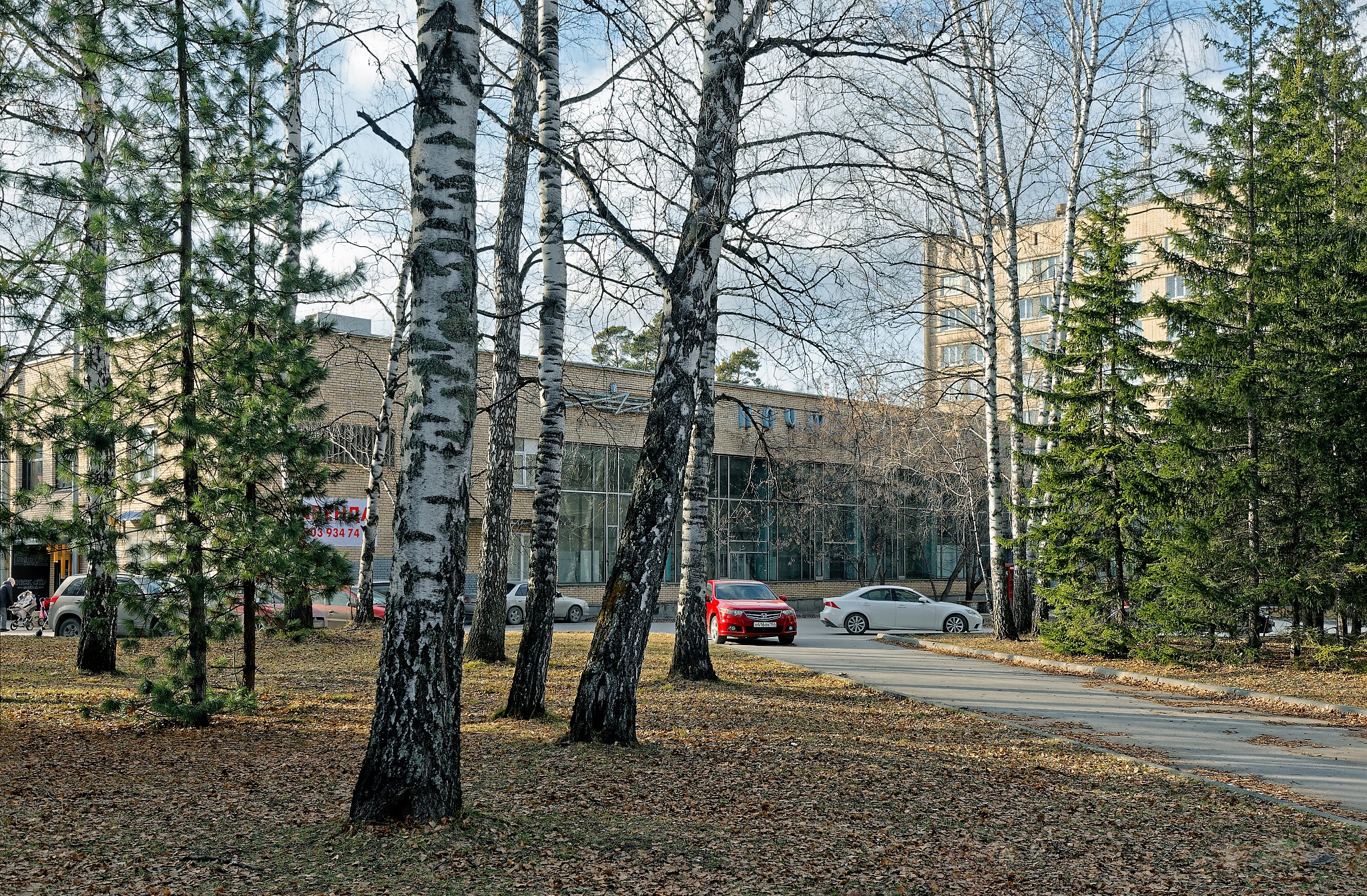 достопримечательности академгородка в новосибирске