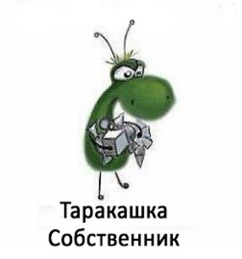 Мои таракашки картинки