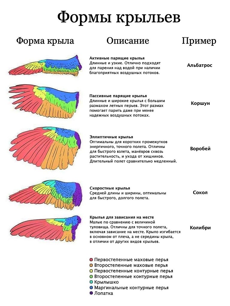 Карта крылья как получить