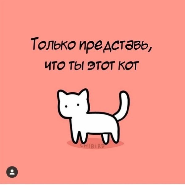 Картинка ты котик