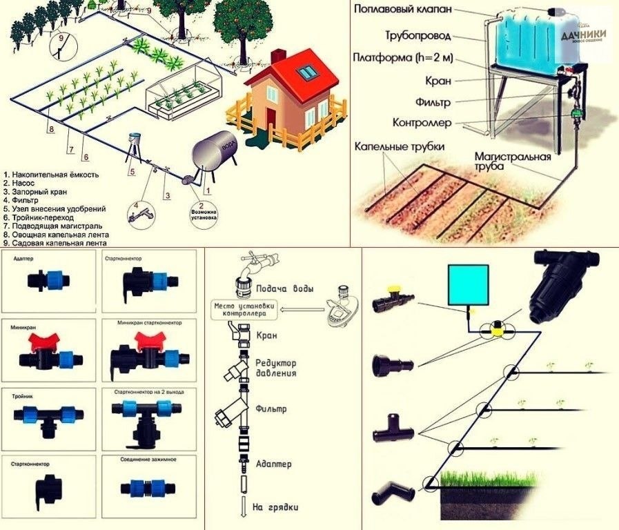 Система капельного полива для клубники схема