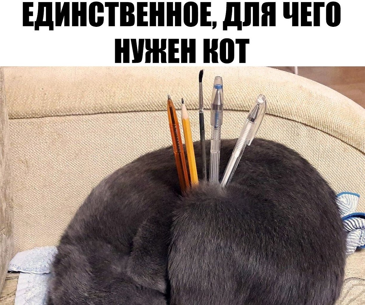 кот дремот игрушка