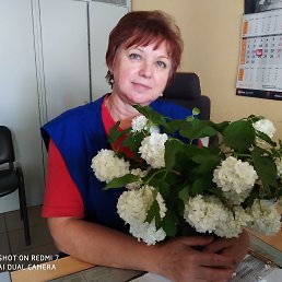 Ольга, 62 года, Колпино