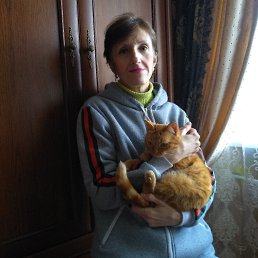 , 54 , 