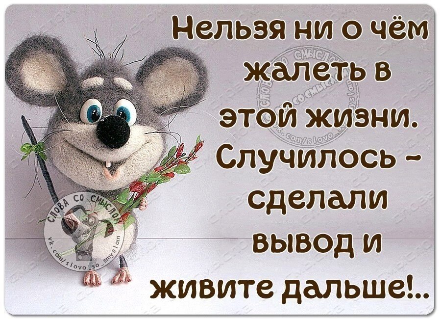 Нельзя ни о чем жалеть в этой жизни случилось сделали вывод и живите дальше картинки