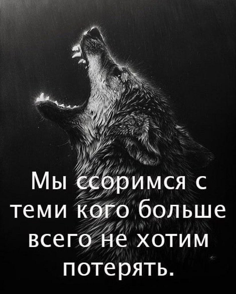 Душа волка