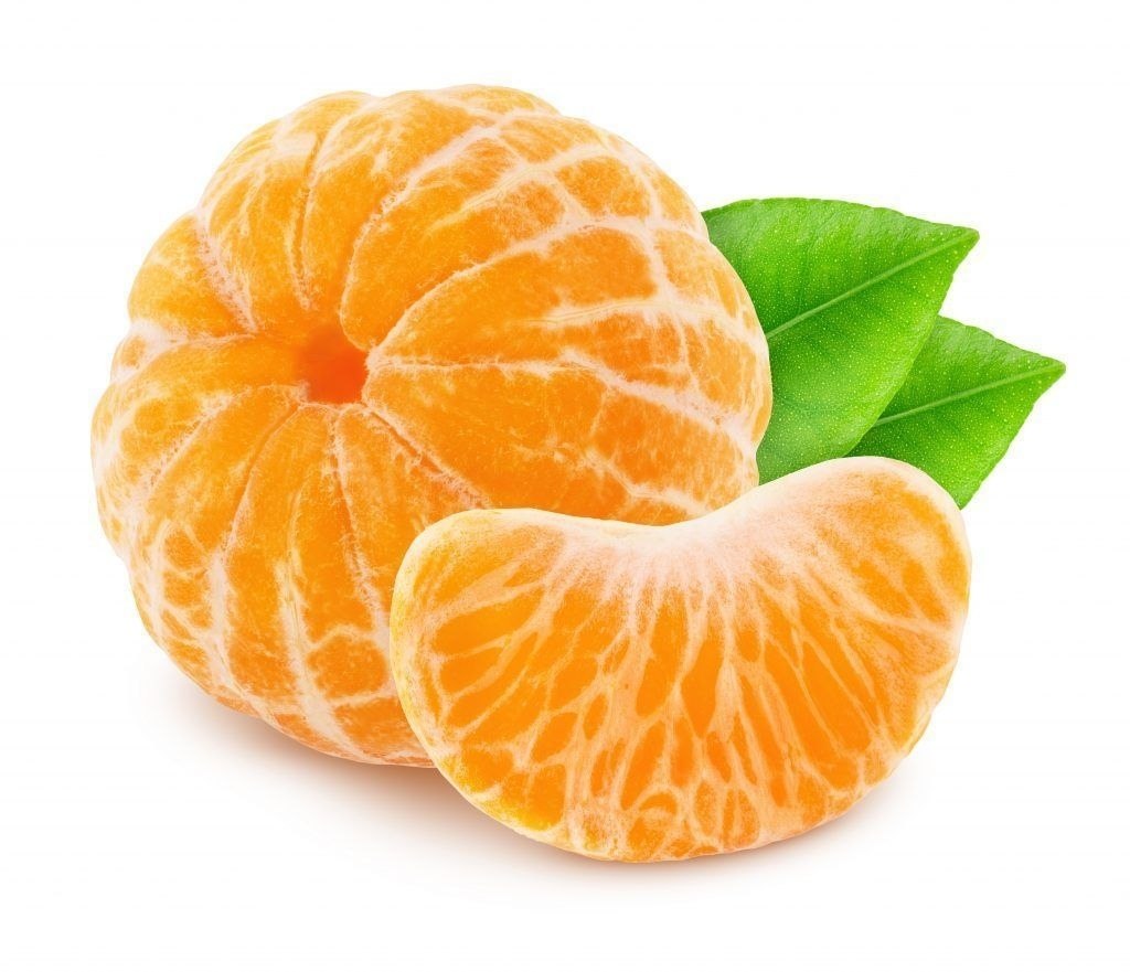 Мандарин. Mandarine on Stem. Сеть мандарин