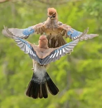 Я Пригласить Хочу На Танец Вас И Только Вас...!)