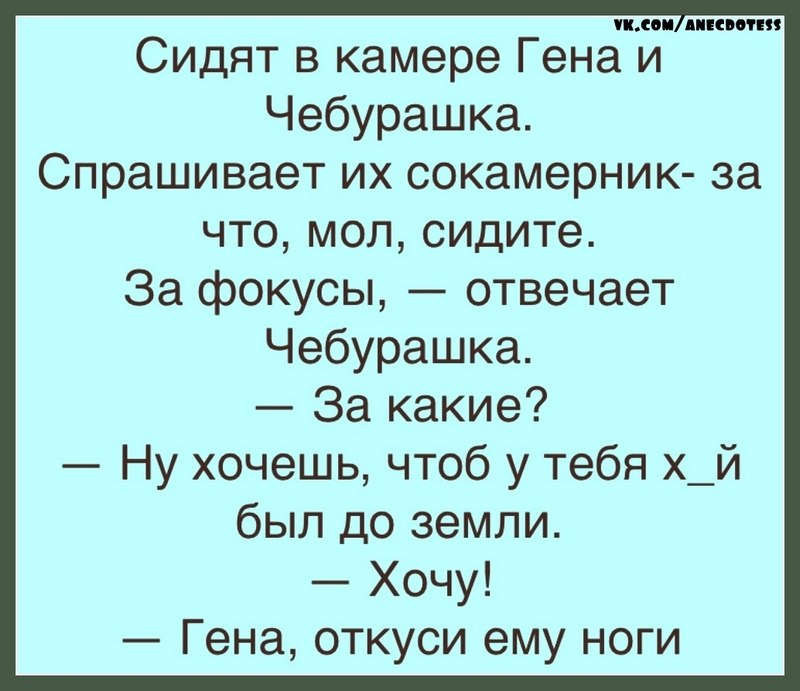 Товарищ милиписькин бобер не виноват мы ехали в сосиске и врезались в салат