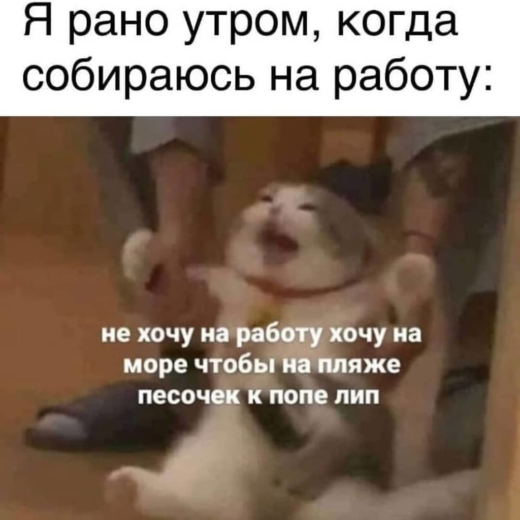 2908771161.jpg