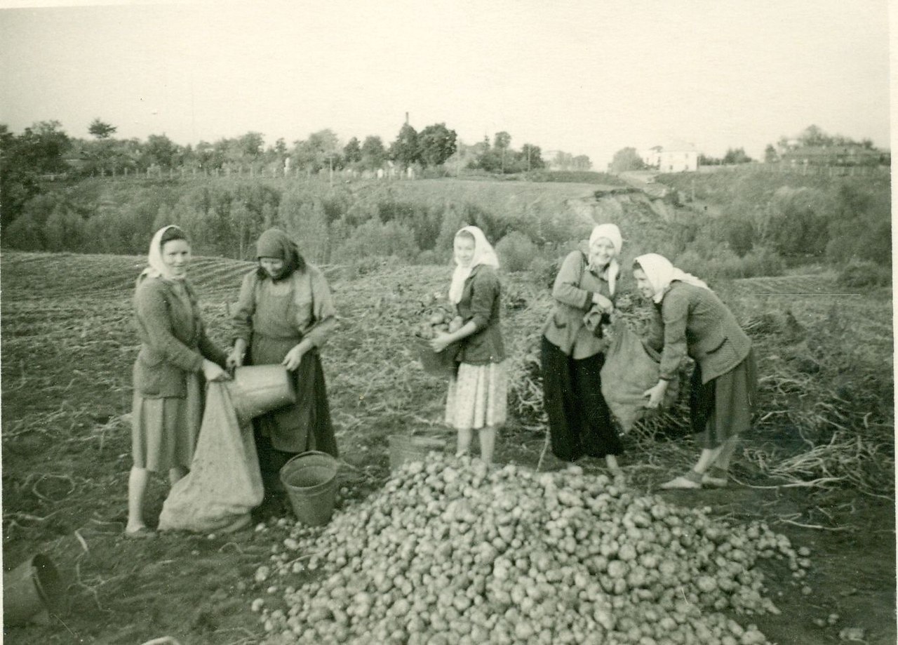 Урожай 1959 года