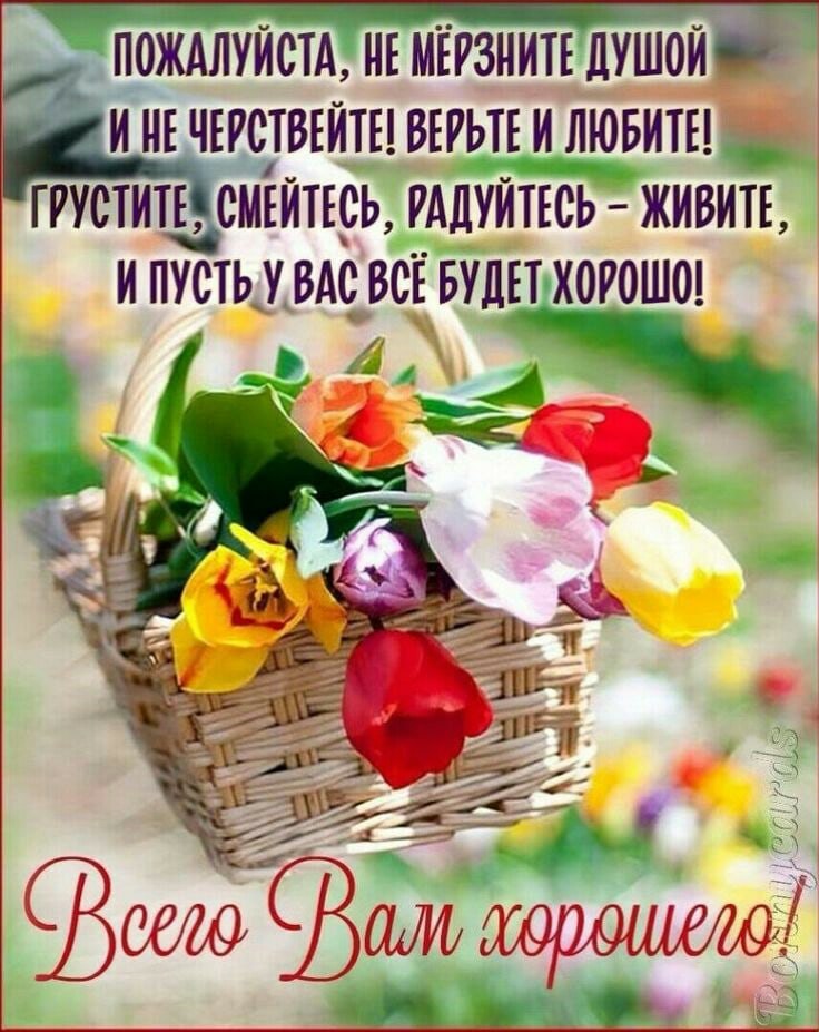 Пусть ваш день будет добрым картинки