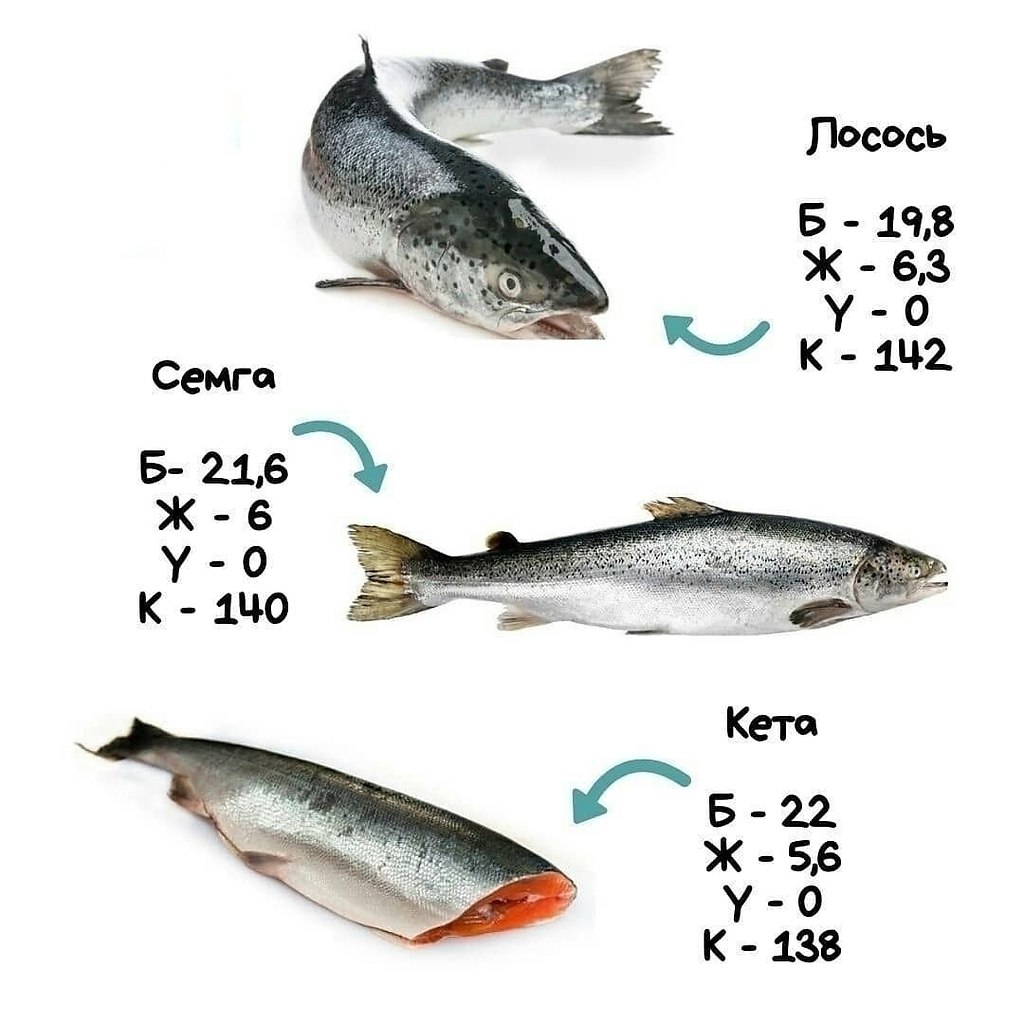 Калорийность рыбы. Рыба по жирности таблица. Что полезно знать о рыбе. Жирные сорта рыбы. Калорийность красной рыбы.