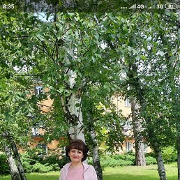 Татьяна, 56, Днепродзержинск
