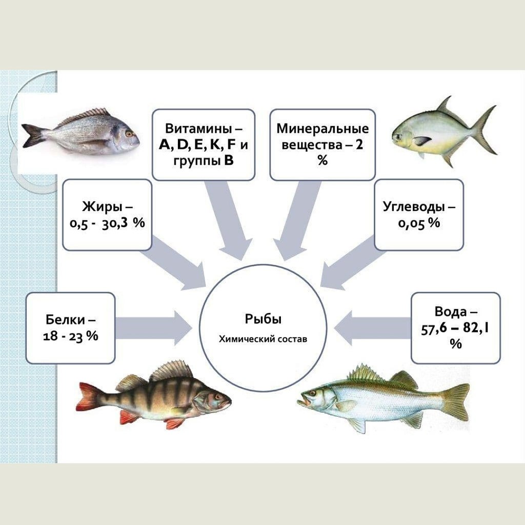 Пищевая ценность рыбы Минеральные вещества