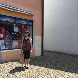 , 53 , 
