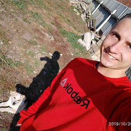 , 26 , 