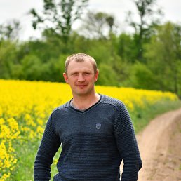 , 36 , 